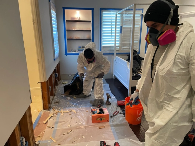 Mold Inspection Beverly Hills